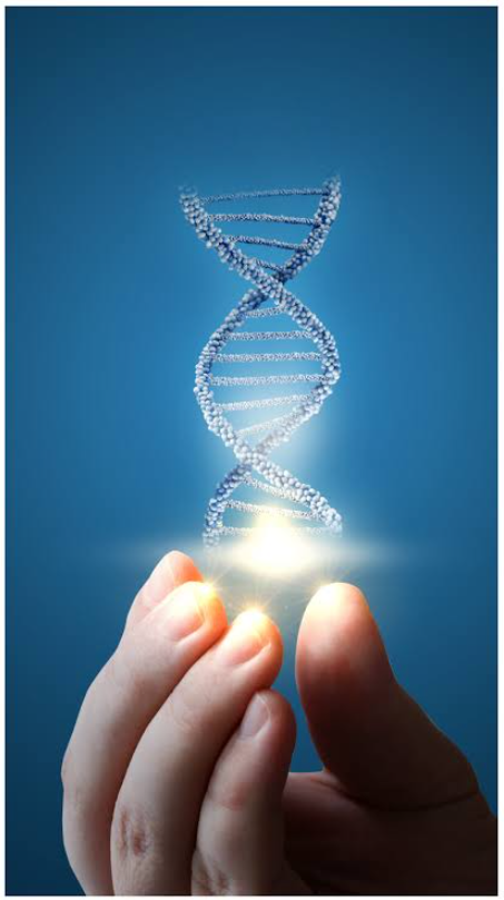 Full Form of DNA: Meaning, Structure and Functions