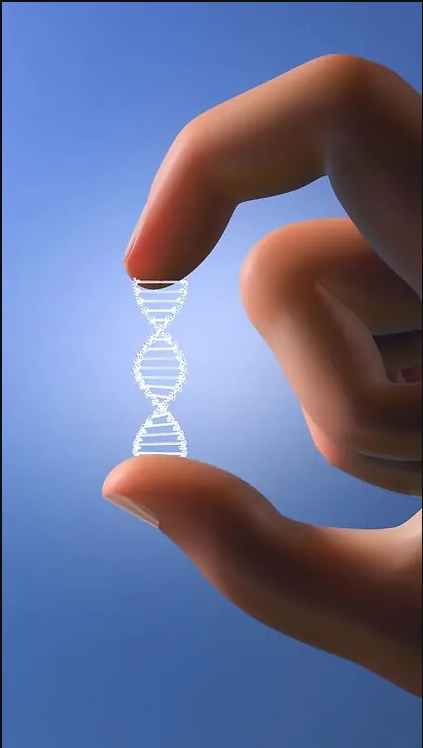 Full Form of DNA: Meaning, Structure and Functions Guide